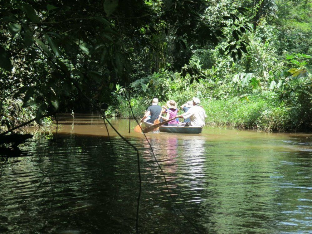 Miss Junies Lodge Tortuguero Exterior foto