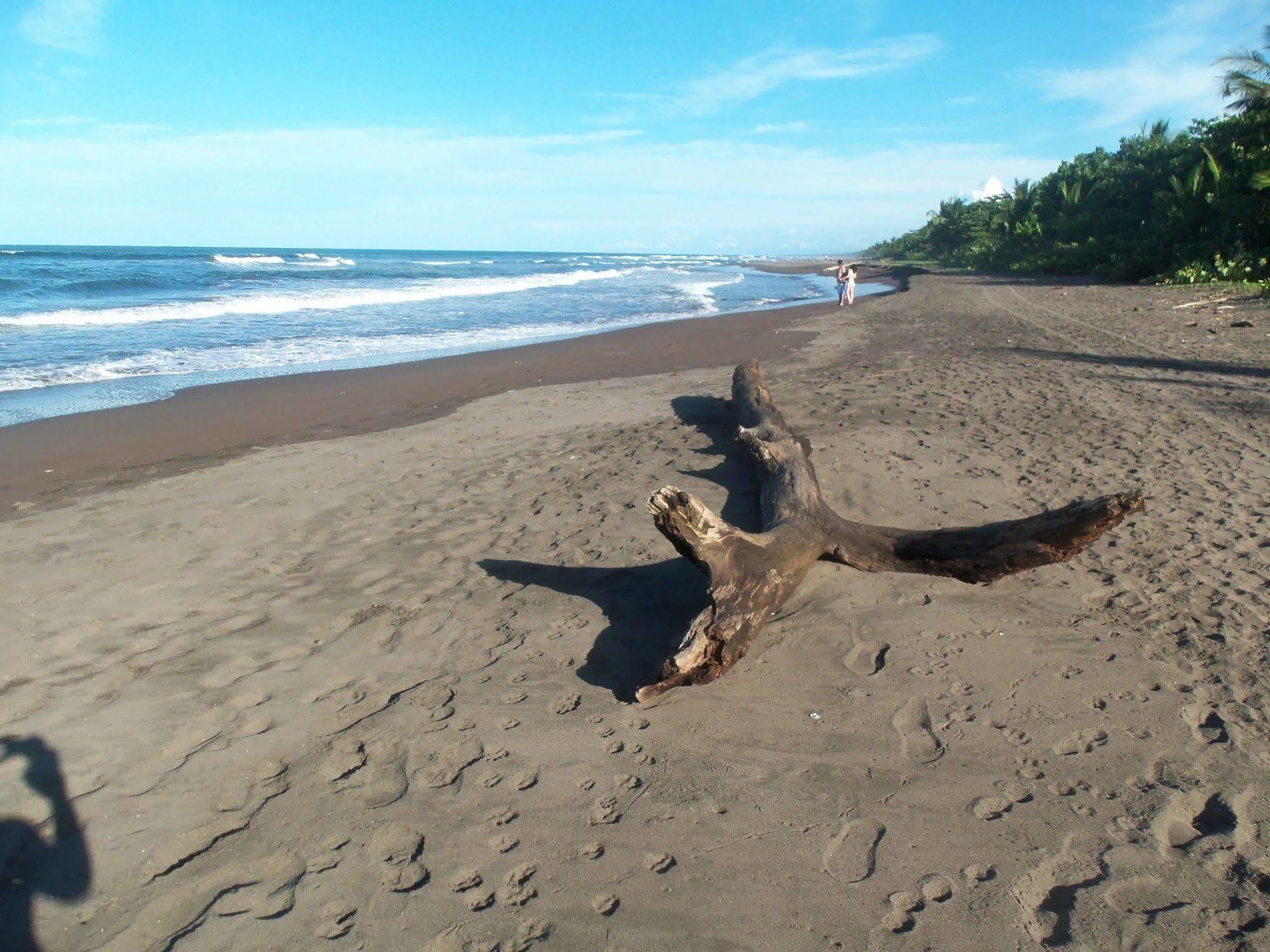 Miss Junies Lodge Tortuguero Exterior foto